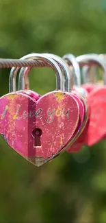 Close-up of heart-shaped love locks on a bridge.