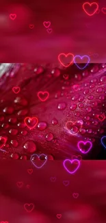 Crimson petal wallpaper with glowing hearts and water droplets.