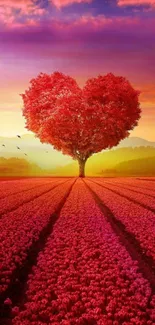 Heart-shaped tree at sunset in vibrant red fields.