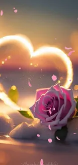 Heart-shaped light and pink rose with a golden sunset.