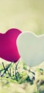 Pink and white heart shapes on green grass.