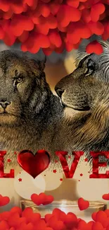 Romantic lion couple with love hearts.