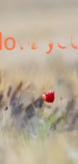 Romantic mobile wallpaper with red flower and love text in blurred meadow.