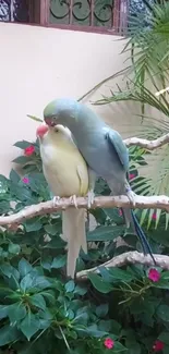 Two parrots perched on a branch with lush green leaves in the background.