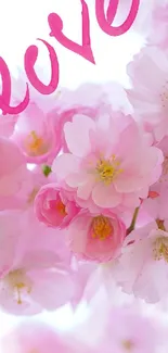 Pink cherry blossom with 'love' text in a dreamy, romantic setting.