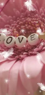 Pink gerbera daisy with 'LOVE' charm on petals.