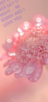 Close-up of a pink flower with dewdrops, conveying a romantic message.