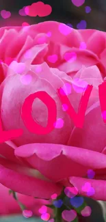 Pink rose with 'love' text and heart overlays.