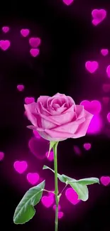 Pink rose with glowing hearts on black background.