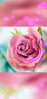 Soft pink rose with bokeh hearts wallpaper.