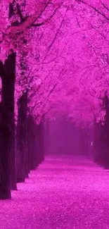 Pink tree-lined pathway with blossoms, serene and romantic.