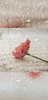 Red rose on music sheet with raindrops effect.