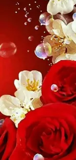 Red floral wallpaper with roses and white flowers.