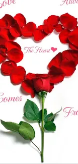 Red rose petals form a heart shape on a white background.