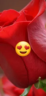 A vivid red rose with heart-eye emoji on a mobile wallpaper.