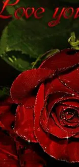 Romantic red rose with love inscription.