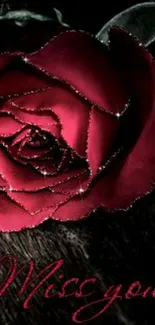 Romantic red rose on dark background wallpaper.