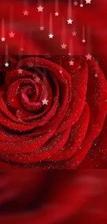 Romantic red rose wallpaper with star accents.