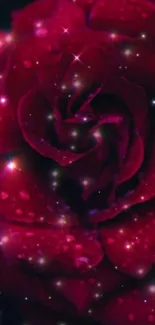 Enchanting red rose with sparkles on a dark background.