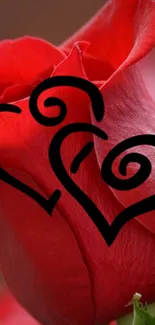 Close-up of a red rose with artistic heart designs.