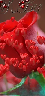 Close-up of a vibrant red rose with lush green leaves on a blurred background.