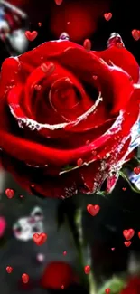 Vibrant red rose with water droplets on a dark background, surrounded by small hearts.