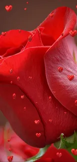 Vivid red rose with heart shapes adds romance to your phone screen.