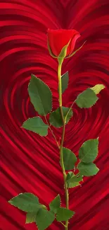 Red rose against a heart background wallpaper.