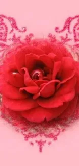 Red rose on a heart-patterned pink background.