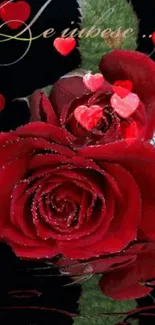 Romantic red roses with heart accents on a dark background.