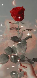 Romantic red rose held under crescent moon with a cloudy sky backdrop.