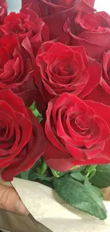 A vibrant red roses bouquet with green leaves and elegant petals.