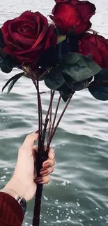 Hand holding red roses against ocean backdrop.