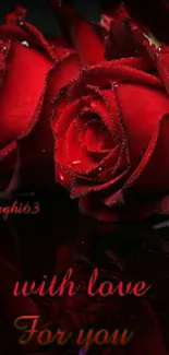 Romantic red roses with love message on dark background.