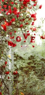 Romantic red roses with butterflies and lush greenery background.