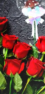 Romantic red roses with dark background.