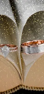 Romantic rings on open book with glitter.