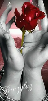 Hands holding a red rose with romantic flair.