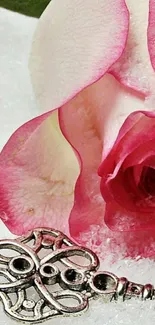 Mobile wallpaper with a pink rose and vintage key on a white background.