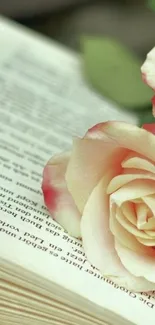 Delicate pink rose resting on an open book, creating a romantic and elegant wallpaper.