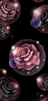 Glowing rose bubbles on black background wallpaper.