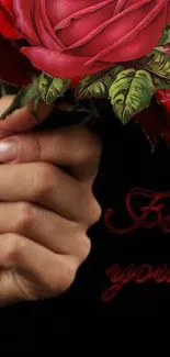 Elegant hand holding a red rose against a black background.