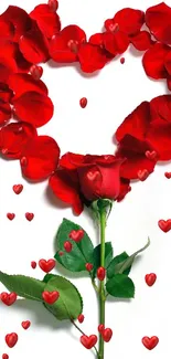 Heart-shaped red rose petals on a white background