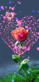 Red rose with sparkling heart on dark blue background wallpaper.