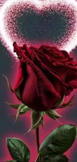 Vibrant dark red rose with glowing heart background.