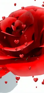 Red rose with floating hearts background.