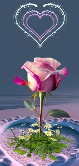 Pink rose with heart-shaped design on a blue background.