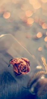 Romantic dried rose in a glass bottle with a dreamy bokeh backdrop.