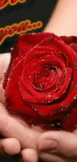 Red rose held delicately in hands against dark background.