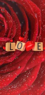 Red rose with 'Love' blocks and dewdrops on petals.